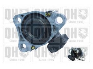 QUINTON HAZELL EM4315 variklio montavimas 
 Variklis -> Variklio montavimas -> Variklio montavimo rėmas
7700436287, 8200185696, 8200267624