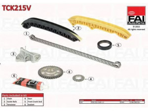 FAI AutoParts TCK215V pavaros grandinės komplektas 
 Variklis -> Variklio uždegimo laiko reguliavimo kontrolė -> Sinchronizavimo grandinė/įtempiklis/kreiptuvas -> Pavaros grandinės komplektas