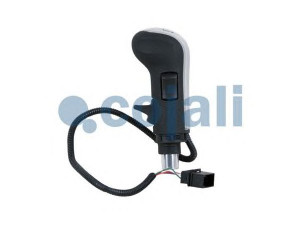 COJALI 2880146 pavarų svirties galvelė
81326200049