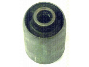 TRISCAN 8500 2723 valdymo svirties/išilginių svirčių įvorė 
 Ašies montavimas/vairavimo mechanizmas/ratai -> Valdymo svirtis/pasukamosios svirties sujungimas -> Montavimas/sutvirtinimas
1229165