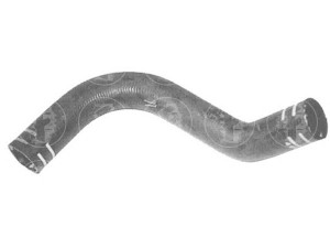 FARE SA 8473 radiatoriaus žarna 
 Aušinimo sistema -> Žarnelės/vamzdeliai/sujungimai -> Radiatoriaus žarnos
46405739