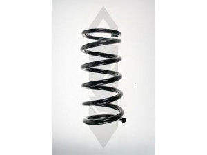 SPIDAN 56734 spyruoklė 
 Pakaba -> Spyruoklės
55100 M2100