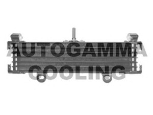 AUTOGAMMA 110000 radiatorius, variklio aušinimas