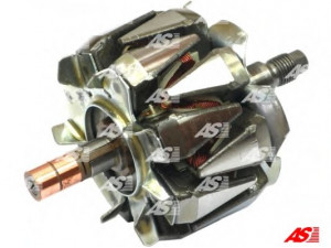 AS-PL AR6013 rotorius, kintamosios srovės generatorius