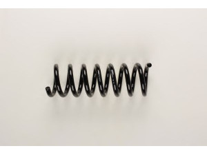 BILSTEIN 36-129591 spyruoklė 
 Pakaba -> Spyruoklės
210 321 21 04