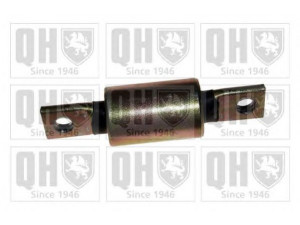 QUINTON HAZELL EMS2665 valdymo svirties/išilginių svirčių įvorė 
 Ašies montavimas/vairavimo mechanizmas/ratai -> Valdymo svirtis/pasukamosios svirties sujungimas -> Montavimas/sutvirtinimas
605 103 62F, 605 103 62F, 8 961 476