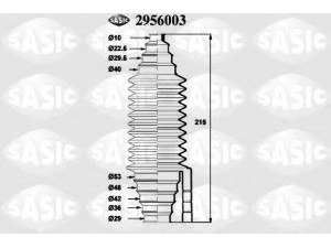 SASIC 2956003 gofruotoji membrana, vairavimas