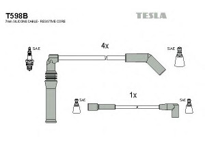 TESLA T598B uždegimo laido komplektas 
 Kibirkšties / kaitinamasis uždegimas -> Uždegimo laidai/jungtys
97535465, 5967.L1
