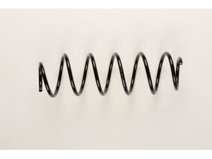 BILSTEIN 36-201594 spyruoklė 
 Pakaba -> Spyruoklės
50704418