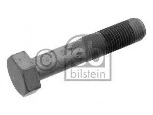 FEBI BILSTEIN 33675 skriemulio varžtas
0516.60, 0516.A4, 516.60, 9634848980