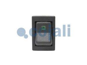 COJALI 2260167 amortizatorius
290947