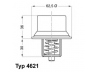 WAHLER 4621.80D termostatas, aušinimo skystis 
 Aušinimo sistema -> Termostatas/tarpiklis -> Thermostat
11 53 1 318 274