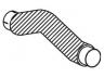 išleidimo kolektorius