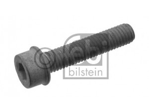 FEBI BILSTEIN 33554 centravimo varžtas, alkūninio veleno skriemulys
N 903 396 01, N 903 396 03, N 903 396 05