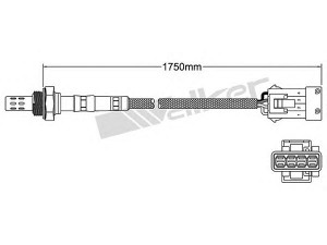 WALKER PRODUCTS 250-24177 lambda jutiklis 
 Variklis -> Variklio elektra
46 60 163, 1271955, 9125581