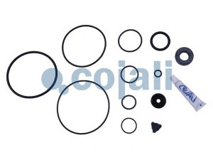 COJALI 6012259 remonto komplektas, greitinimo vožtuvas
