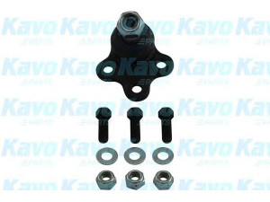 KAVO PARTS SBJ-6533 atramos/vairo trauklė
40110J0100, 40110J0125, 40111J0100