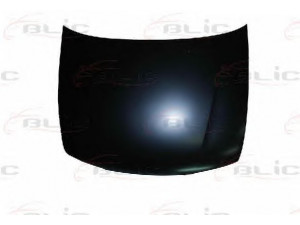 BLIC 6803-00-1629280P gaubtas
N65100-1N030