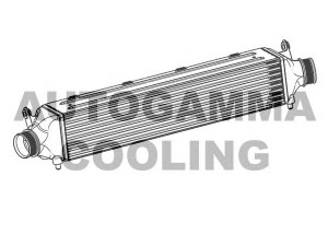 AUTOGAMMA 107539 tarpinis suslėgto oro aušintuvas, kompresorius
8U0145803C, 8U0145804C