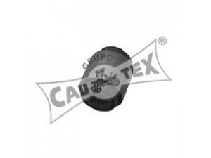 CAUTEX 028949 įvorė, valdymo svirties montavimas 
 Ašies montavimas/vairavimo mechanizmas/ratai -> Valdymo svirtis/pasukamosios svirties sujungimas -> Montavimas/sutvirtinimas
0854588600, 7700104152, 7700518856