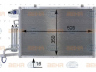 HELLA 8FC 351 000-411 kondensatorius, oro kondicionierius 
 Oro kondicionavimas -> Kondensatorius
1 756 414, AV11 19710DA