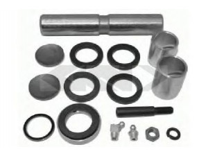 SPIDAN 45594 pasukamojo kakliuko kaiščiai 
 Ašies montavimas/vairavimo mechanizmas/ratai -> Pasukamojo kakliuko remonto rinkinys -> Pasukamojo kakliuko kaiščiai
310 330 03 19, 310 586 01 33