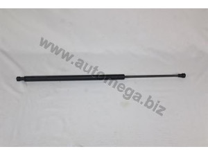 AUTOMEGA 3087310G5 dujinė spyruoklė, bagažinė 
 Priedai -> Bagažinė/pakrovimo skyrius
8731G5, 8731G5