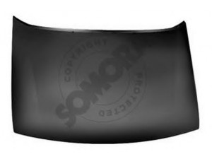 SOMORA 050208 gaubtas
7901F6