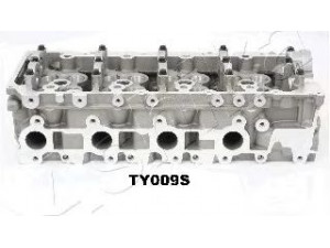 ASHIKA TY009S cilindro galvutė 
 Variklis -> Cilindrų galvutė/dalys -> Cilindrų galvutė
1110130050, 1110130080, 908783