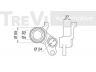 TREVI AUTOMOTIVE TD1342 įtempiklio skriemulys, paskirstymo diržas 
 Techninės priežiūros dalys -> Papildomas remontas
14510P13003, 14510PCF003