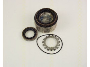 TRISCAN 8530 10251 rato guolio komplektas 
 Ašies montavimas/vairavimo mechanizmas/ratai -> Rato stebulė/montavimas -> Rato guolis
43210-42G10