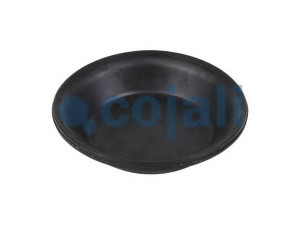 COJALI 6001108 membrana, spyruoklinis cilindras