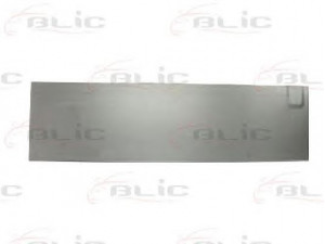 BLIC 6016-00-3546154P galinės durys 
 Kėbulas -> Transporto priemonės galas -> Galinės durys/dalys