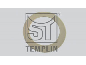 ST-TEMPLIN 11.040.0241.680 tarpiklis, rato stebulė
03.310.99.01.0, 03.310.99.16.0