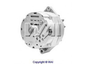 WAIglobal 48984 kintamosios srovės generatorius
AR54793, SE501383, TY6772