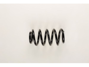 BILSTEIN 37-147938 spyruoklė
8E0 411 105 CE