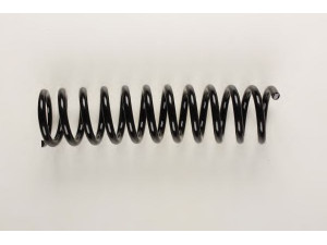 BILSTEIN 36-129362 spyruoklė
124 321 20 04