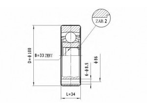 STATIM CW.045 jungčių komplektas, kardaninis velenas 
 Ratų pavara -> Sujungimai/komplektas
321498103B, 811498103A, 893498103