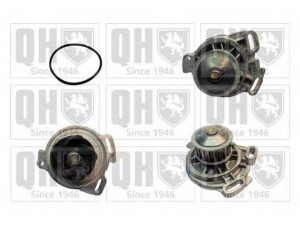 QUINTON HAZELL QCP1294 vandens siurblys 
 Aušinimo sistema -> Vandens siurblys/tarpiklis -> Vandens siurblys
12571857, 271613, 276132, 069 121 004