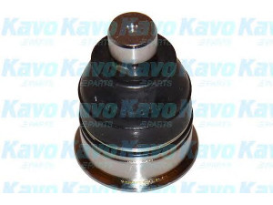 KAVO PARTS SBJ-6528 atramos/vairo trauklė 
 Ašies montavimas/vairavimo mechanizmas/ratai -> Sujungimai -> Atramos/vairo trauklė