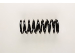 BILSTEIN 36-226054 spyruoklė 
 Pakaba -> Spyruoklės
115 324 22 04