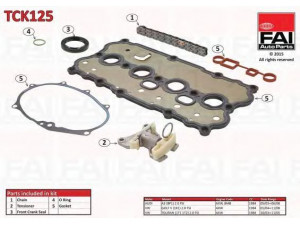 FAI AutoParts TCK125 pavaros grandinės komplektas 
 Variklis -> Variklio uždegimo laiko reguliavimo kontrolė -> Sinchronizavimo grandinė/įtempiklis/kreiptuvas -> Pavaros grandinės komplektas
06D109229B