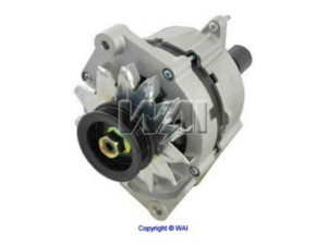 WAIglobal 14789N kintamosios srovės generatorius
4339440, 4419186, 4419187, 5226008