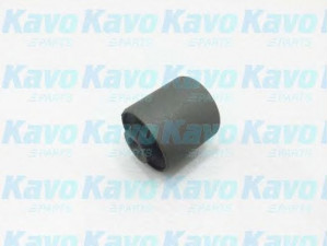 KAVO PARTS SCR-2049 valdymo svirties/išilginių svirčių įvorė 
 Ašies montavimas/vairavimo mechanizmas/ratai -> Valdymo svirtis/pasukamosios svirties sujungimas -> Montavimas/sutvirtinimas
51810ST3E00, 51810ST3G00