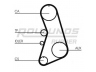 ROULUNDS RUBBER RR1181 paskirstymo diržas 
 Techninės priežiūros dalys -> Papildomas remontas
058109119B, 058109119C, 059109119C