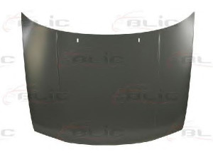 BLIC 6803-00-9522280P gaubtas 
 Kėbulas -> Transporto priemonės priekis -> Gaubtas/dalys/garso izoliacinė medžiaga
1H6823031, 1H6823031A