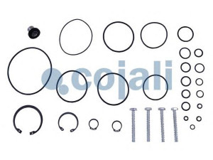 COJALI 6014103 remonto komplektas