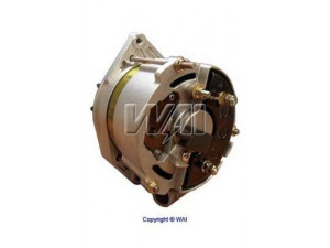 WAIglobal 13011R kintamosios srovės generatorius
241527, 243793