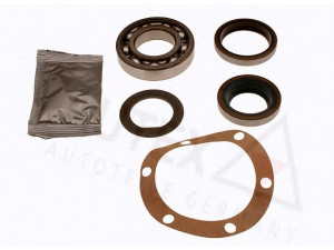 AUTEX 807755 rato guolio komplektas 
 Ašies montavimas/vairavimo mechanizmas/ratai -> Rato stebulė/montavimas -> Rato guolis
111 350 0068, 111 350 0068, 111 586 0035
