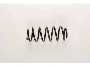 BILSTEIN 36-200795 spyruoklė 
 Pakaba -> Spyruoklės
5102N6